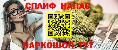 дурь Камышлов