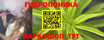 дурь Камышлов