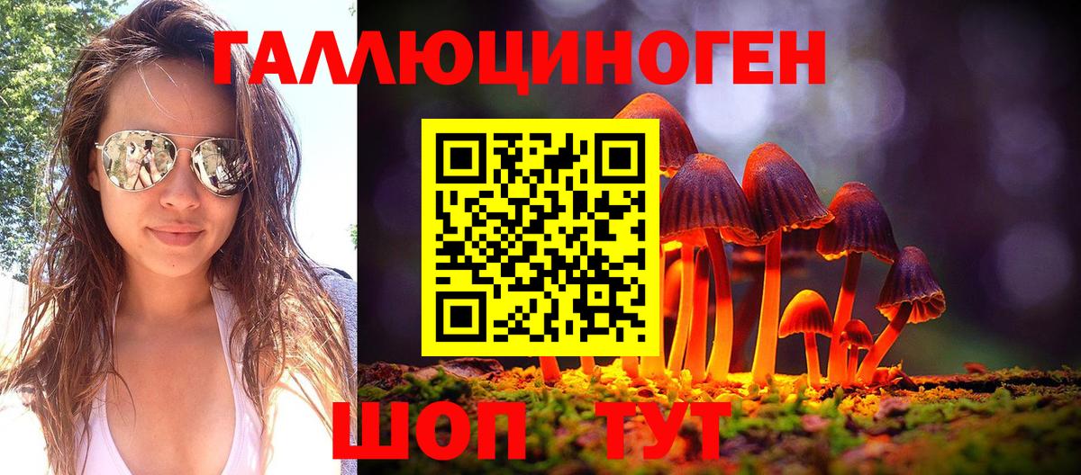 Псилоцибиновые грибы Psilocybe Кыштым