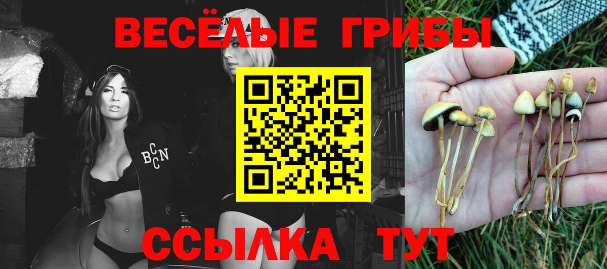 Псилоцибиновые грибы GOLDEN TEACHER  Галлюциногенные грибы MAGIC MUSHROOMS  Кыштым  сколько стоит  Вход с VPN 